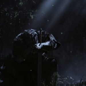 YOU WERE CHOSEN IN THE DARK